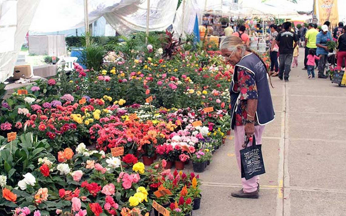 Anuncian próxima edición de tradicional Feria de las Flores El Sol de
